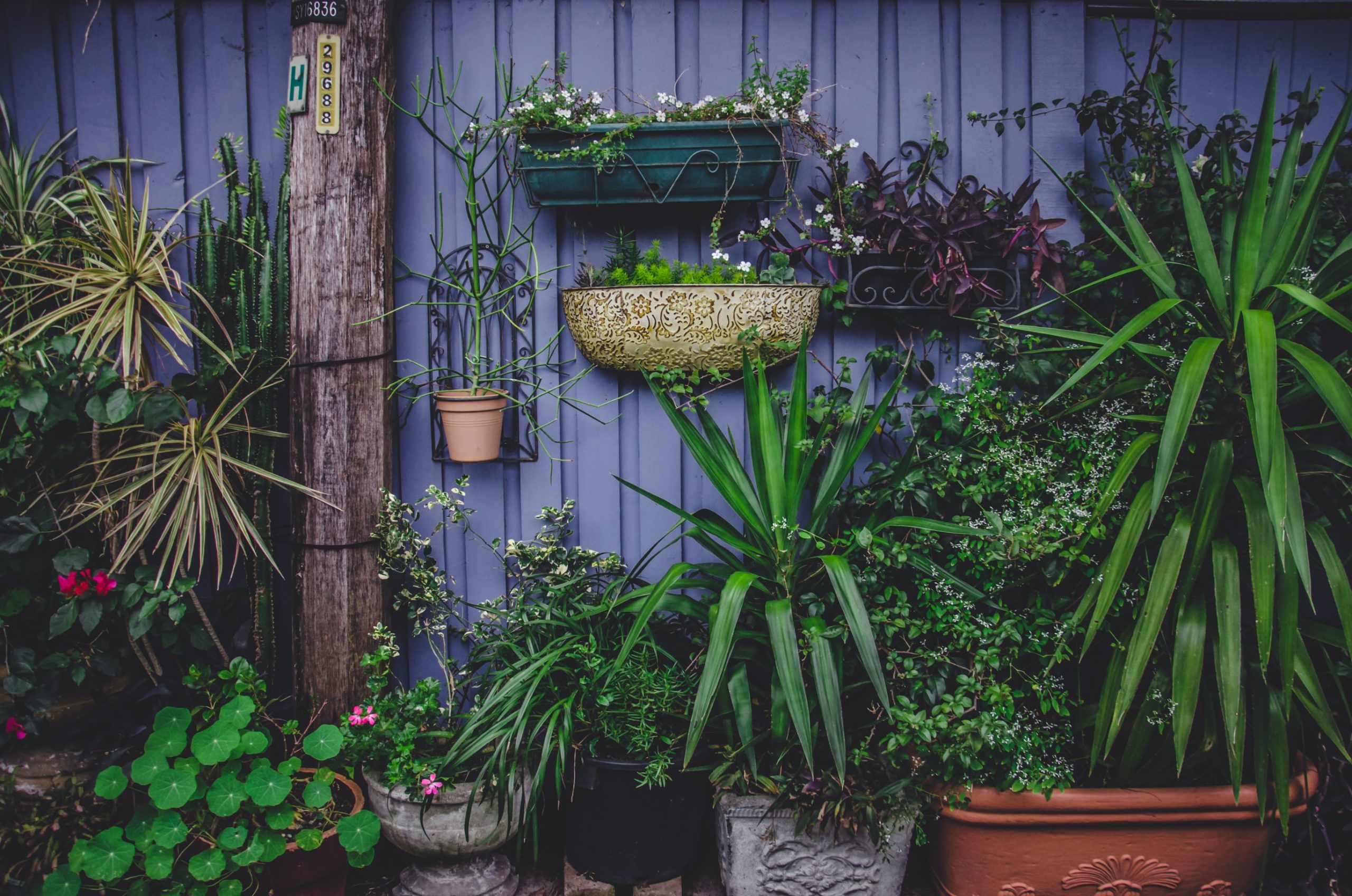10 idee e consigli su come arredare un giardino spendendo poco