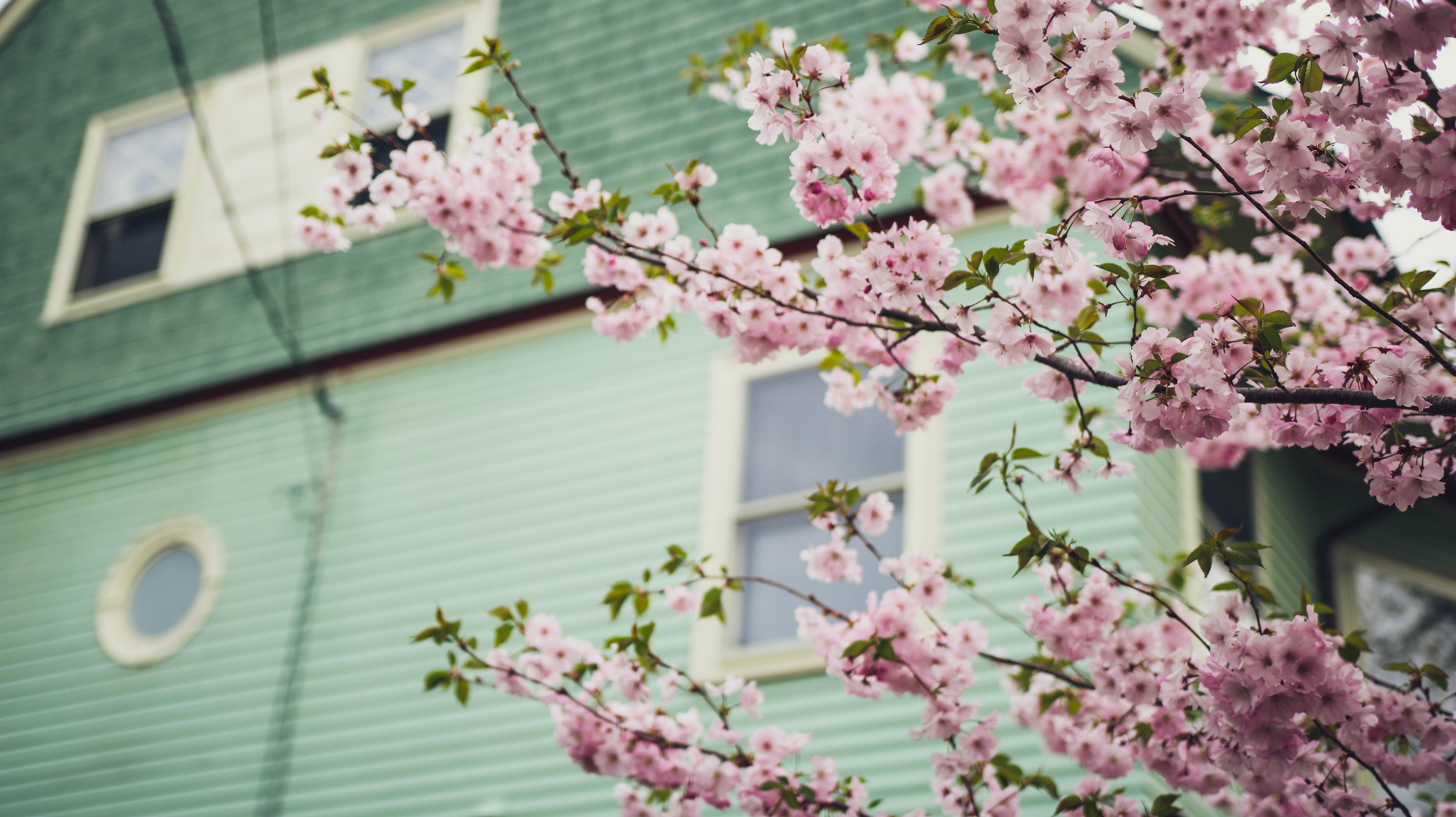 10 trucos para decorar y amueblar tu casa en primavera