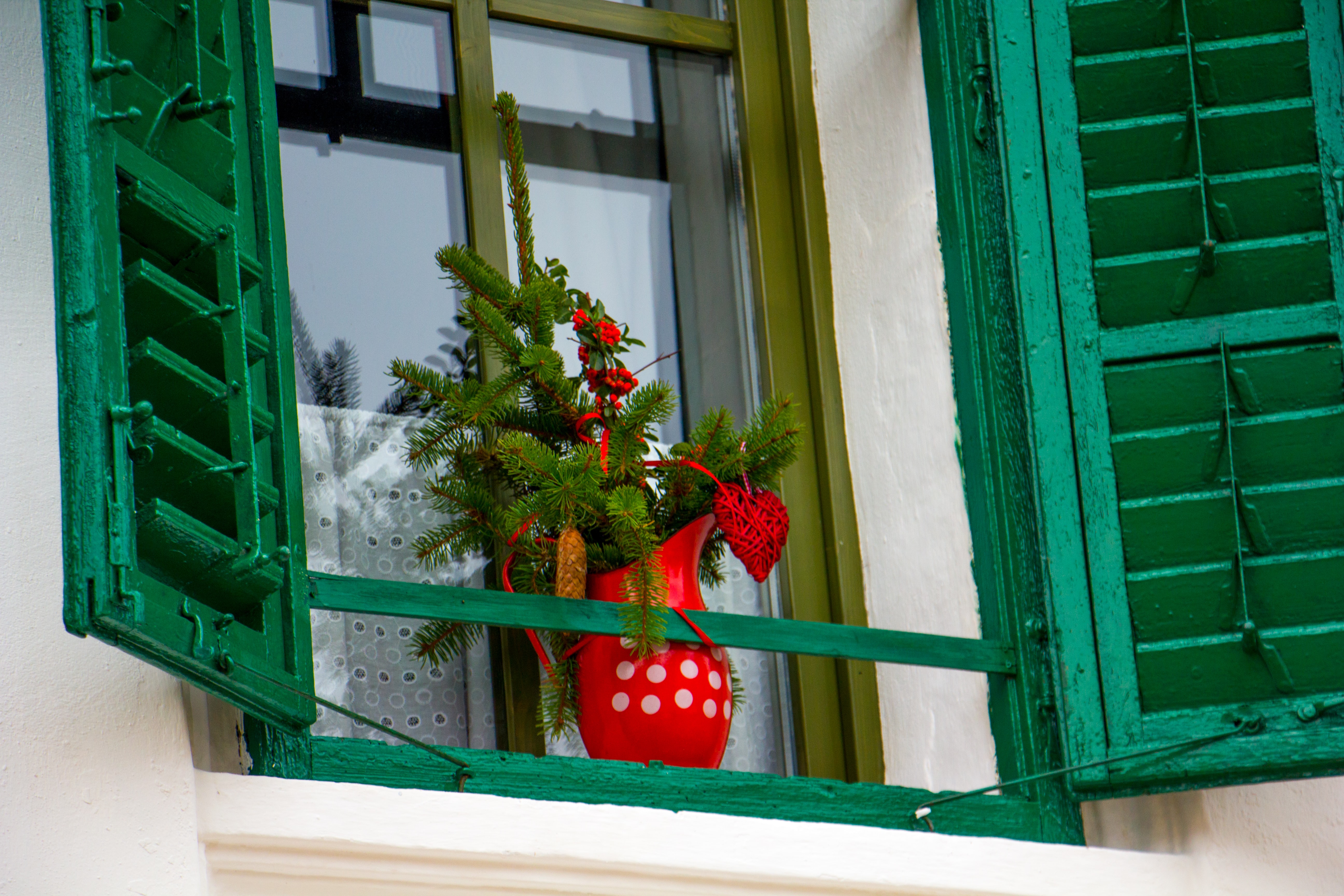 flores ventana