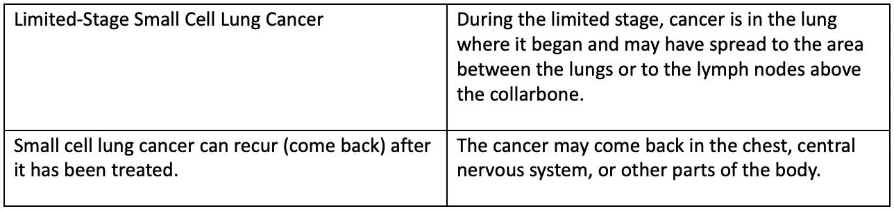 Small Cell Lung Cancer Staging