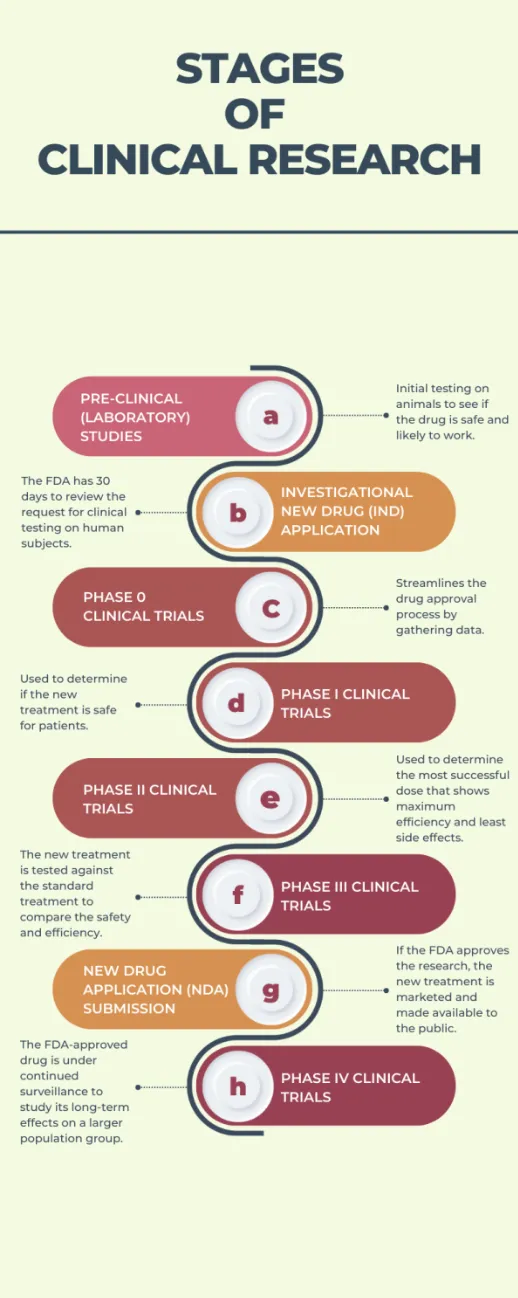 Stages of Clinical Research